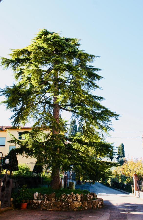 La Torre Di Caprera Apartman Siena Kültér fotó